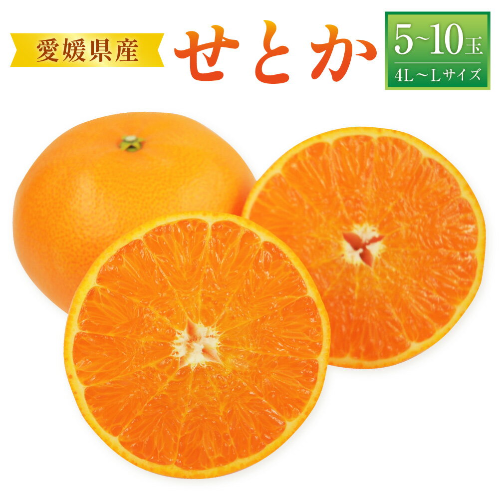 【ふるさと納税】せとか 4L～Lサイズ 5～10玉前後 みかん ミカン 蜜柑 柑橘 フルーツ 果物 果物 くだもの 宇和 お取り寄せ デザート おやつ 常温 送料無料【2026年2月下旬～2026年3月下旬発送予定】(521-1)