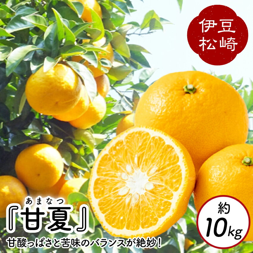 【ふるさと納税】【数量限定】鈴切農園 甘夏 10kg