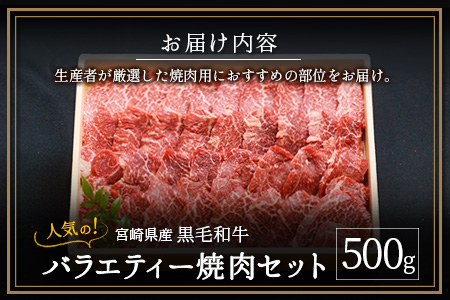 人気の宮崎県産黒毛和牛バラエティー焼肉セット 500g【B492】