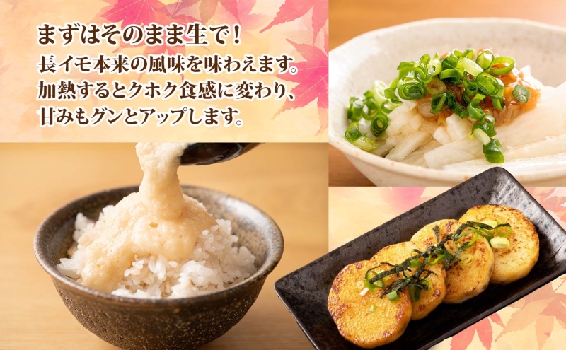 洞爺湖町産 訳あり 長芋 約10kg 2025年12月上旬から順次お届け 長いも 国産 北海道産 訳アリ 家庭用 不揃い とろろ 山かけ ステーキ 生食 調理 野菜 芋 旬 北海道 洞爺湖町