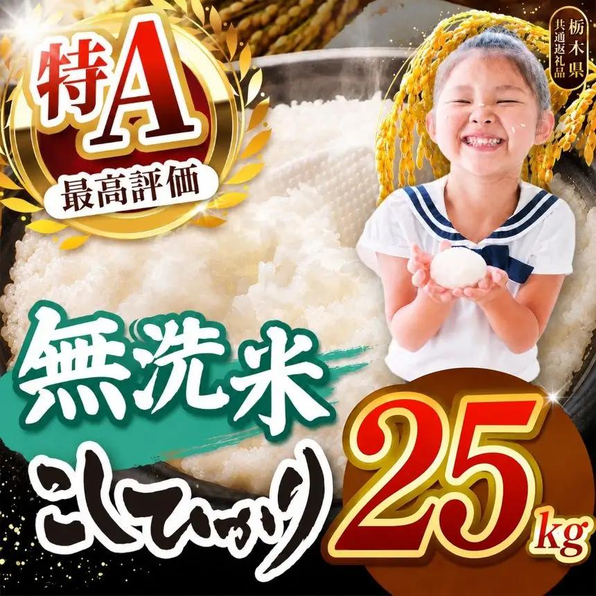 【2026年産】栃木県産コシヒカリ無洗米 25kg【栃木県共通返礼品 栃木県産】