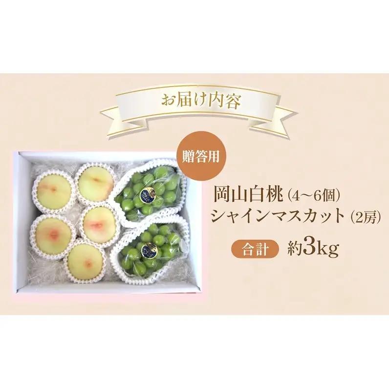 フルーツ 詰合せ 白桃 シャインマスカット 贈答用 岡山県産 フルーツ 詰合せ 【約3kg】 【先行受付】
