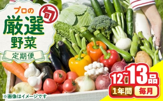 野菜定期便【12回定期便】野菜のプロが選ぶ 旬の野菜セット 12〜13品目 野菜定期便 / 定期便 野菜 野菜セット 新鮮 野菜詰め合わせ 旬野菜 やさいセット やさい 旬 野菜定期便 / 南島原市 / 愛2農園 [SGG001]