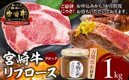宮崎牛 リブロースブロック1kg 万能だれ付き | 牛肉 肉 お肉 リブロース 精肉 リブロースブロック ブロック肉 ブロック タレ 万能ダレ 国産 黒毛和牛 和牛 宮崎県産 ギフト 贈り物 プレゼント 贈答 グルメ お取り寄せ 焼き肉 BBQ 高千穂町 |_Tk024-007