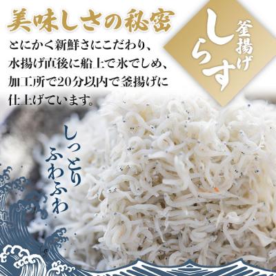 ふるさと納税 香南市 釜揚げしらす「銀凪」小分け20パック (合計約1kg・50g×20パック) ym-0010 |  | 01