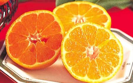 熊本県産 ポンカン 約2.2kg【2025年12月下旬発送開始】