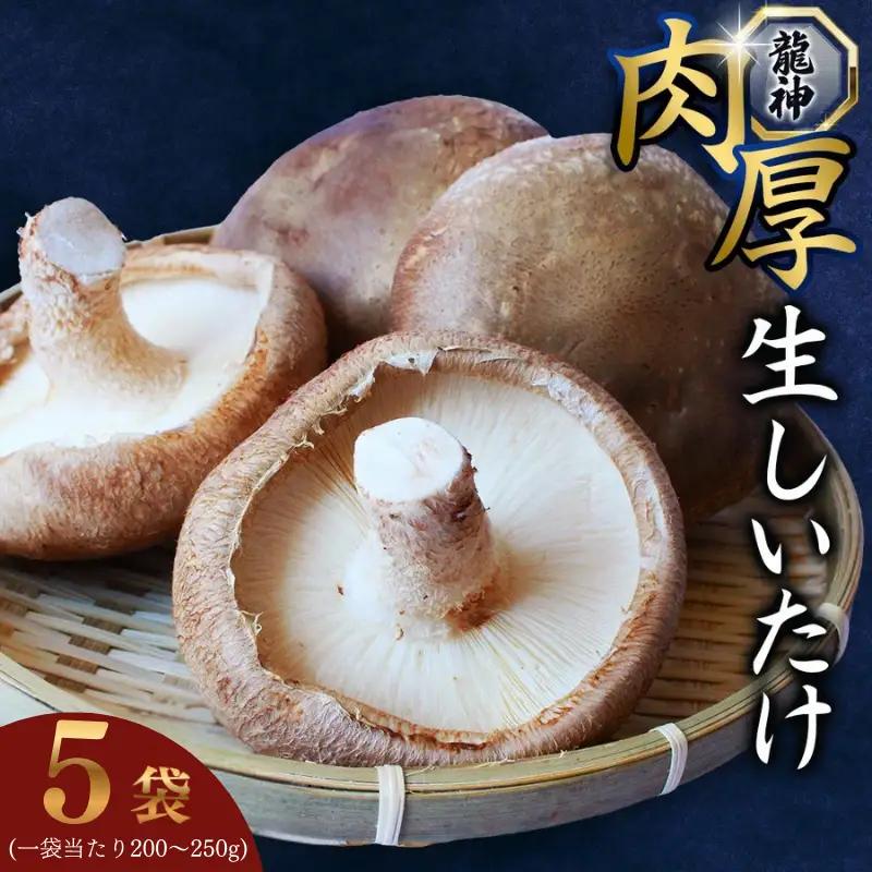 しいたけ 龍神マッシュの生しいたけ10袋セット 【mas003】