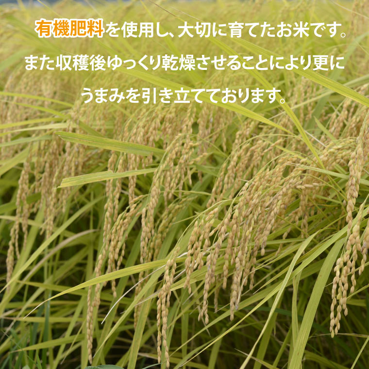 TVでも話題のお米 ゆうだい21 ＼令和8年産／【数量限定】あい　farm　やなぎのお米　令和8年産 ゆうだい21 玄米 20kg | 栃木県 益子町 ふるさと納税 お米 米 20kg 玄米 (DQ0