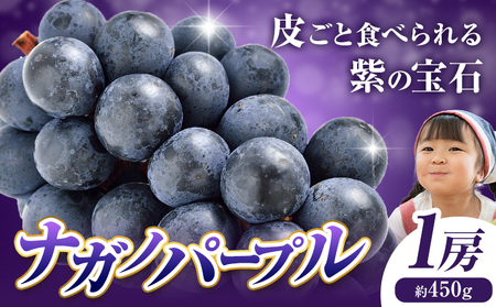 ぶどう ナガノパープル 1房 450g 株式会社ヤマナカ茨城県 結城市 アッシーリス 種なしぶどう たねなし 皮ごと食べられるフルーツ 旬 果物 冷蔵便  《8月中旬-9月下旬頃出荷》