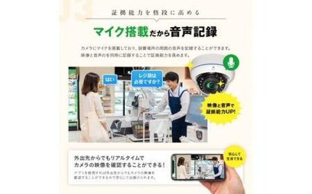 PoE録画装置2TB&監視・防犯カメラドーム型3台セット 500万画素屋外 WTW-NV256EP
