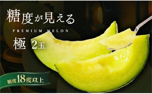＼糖度なんと18度以上！／ 品質が見える メロン 【極】等級 エルソルメロン 2玉入り ｜メロン エルソルメロン おすすめ 人気 国産 茨城 鉾田 サングリーン旭 極 旬 プレゼント 贈り物 フルーツ 青肉 青 果物 5月以降発送