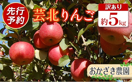 ≪10月中旬以降発送≫りんご 訳あり ご家庭用 5kg おかざき農園の芸北りんご 農家直送 秋ばえ 陽光 ぐんま名月 あいかの香り ふじ_OK097_002