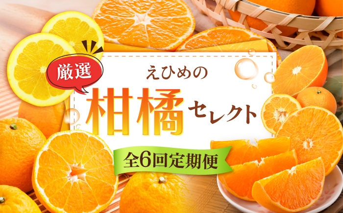 
                  【全6回定期便】みかんえひめの柑橘セレクト定期便 / フルーツ 果物 蜜柑 ミカン オレンジ 小玉 甘い 愛媛 定期便 / 愛媛県砥部町/一般社団法人愛媛県観光物産協会 [BJCE001]
                