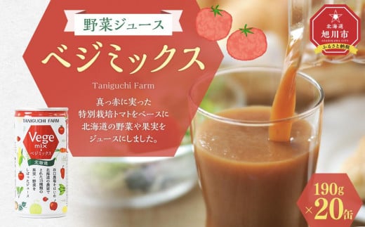 
            【ふるさとチョイス限定】野菜ジュース ベジミックス190g×20缶_02080
          