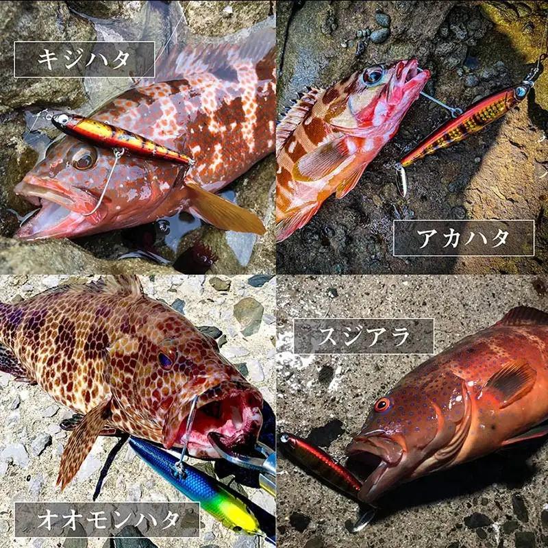 魚極ペン25g セレクト3セット【A8-078】
