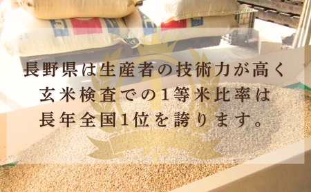 コシヒカリ 精米 30kg 令和7年産｜ コシヒカリ 千曲市 長野県 信州