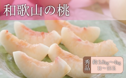 
                  和歌山の桃 秀品 [約3.8～4kg] (サイズ・品種おまかせ) ※2026年6月中旬～2026年8月中旬頃に順次発送予定　紀伊国屋文左衛門本舗 和歌山 もも モモ 桃 果物 フルーツ 人気 産地直送 和歌山県 お取り寄せ【kztb800A】
                