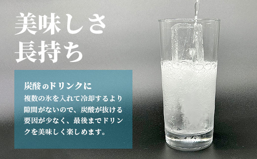 定期便 (3回定期便) さがん氷 かちわり氷 スティックアイス 10本×2セット 合計60本 D-280 藤津製氷 こおり 氷 ロック アイス 佐賀 鹿島 九州