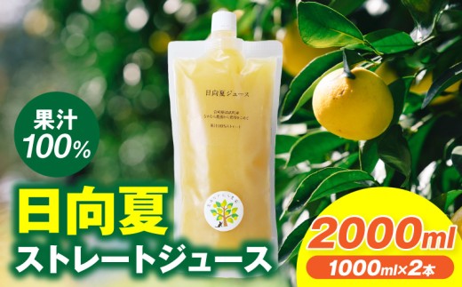 日向夏ストレートジュース100％(1000ml×2本セット)_M403-001-01