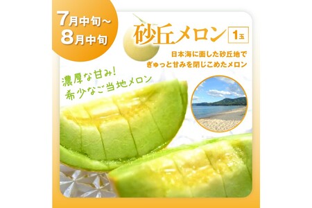 【先行予約／フルーツ定期便4回】旬の果物厳選！京丹後フルーツ王国セット（完熟イチゴ・メロン・シャインマスカット・二十世紀梨）（2026年2月中旬～発送）