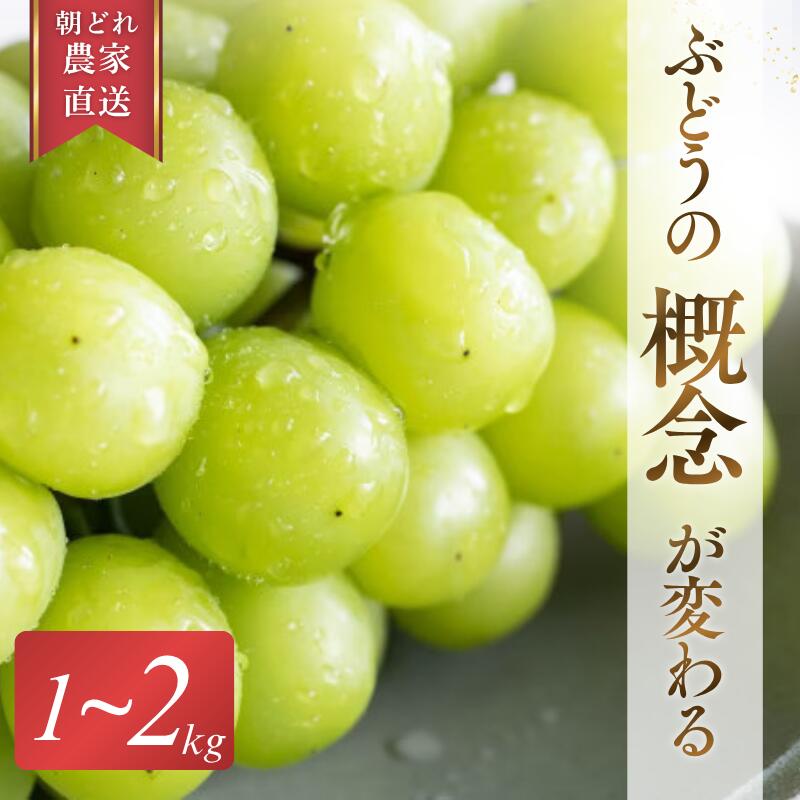 【ふるさと納税】 シャインマスカット【2026年先行予約】糖度18度以上 朝採れ 1kg 1.5kg 2kg ぶどうの概念が変わる よしだ葡萄園の極上品【10月上旬～10月下旬頃に順次発送】 / ぶどう シャインマスカット 果物 フルーツ 大粒 贈答品 贈り物 岡山県 真庭市