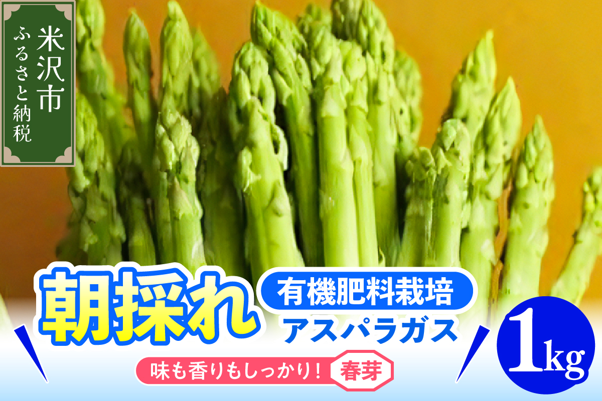 《 先行予約 》【 令和8年産 春芽 】 アスパラガス 1kg 1箱 〔 発送 ： 2026年5月中旬頃 ～ 5月下旬頃 まで 〕 朝採り 有機肥料栽培