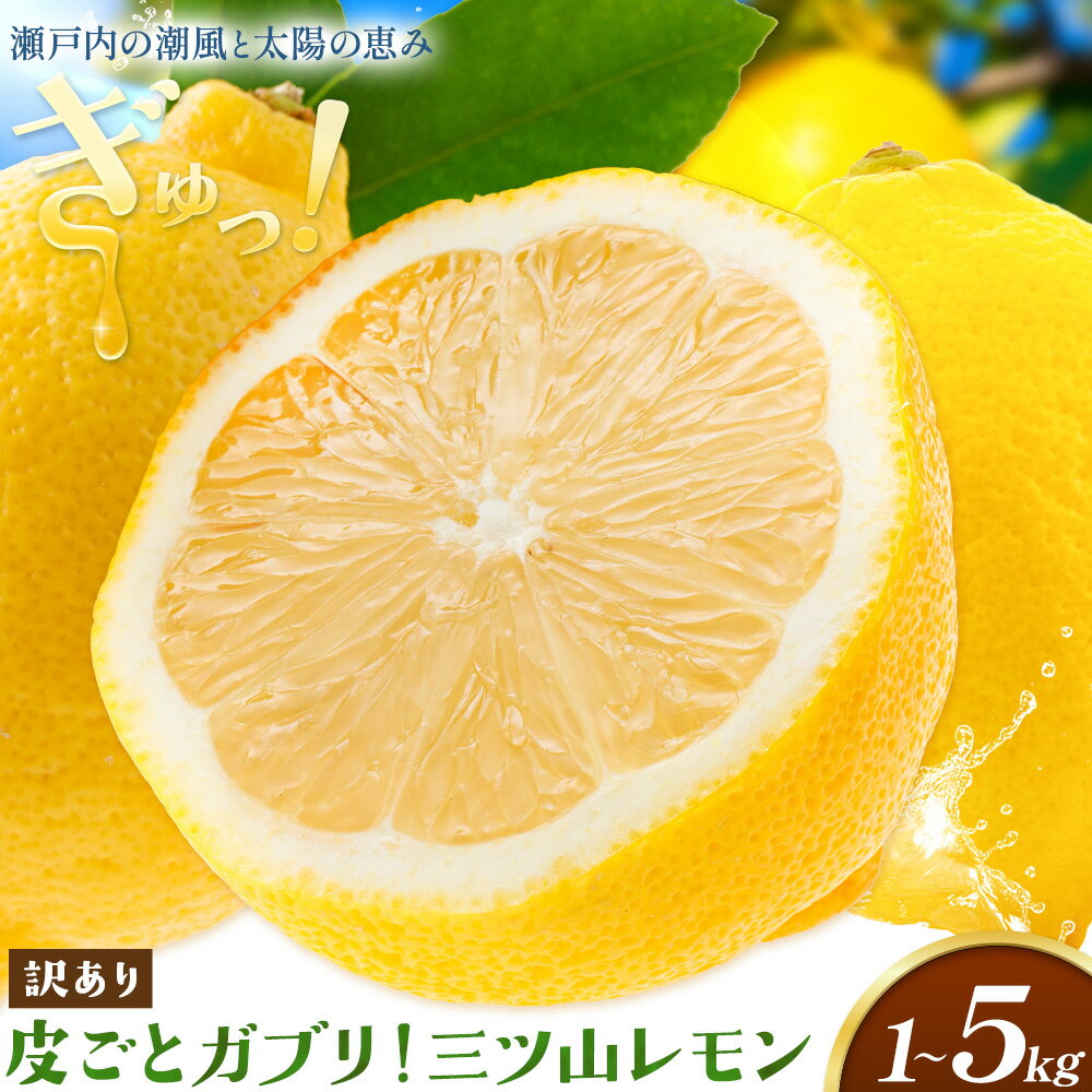 【ふるさと納税】レモン 訳あり 三ツ山レモン 選べる 1kg 3kg 5kg お試し 大容量 三ツ山レモンファーム《9月下旬-3月中旬頃出荷》岡山県 浅口市 送料無料 れもん 檸檬 わけあり ワケあり お取り寄せ