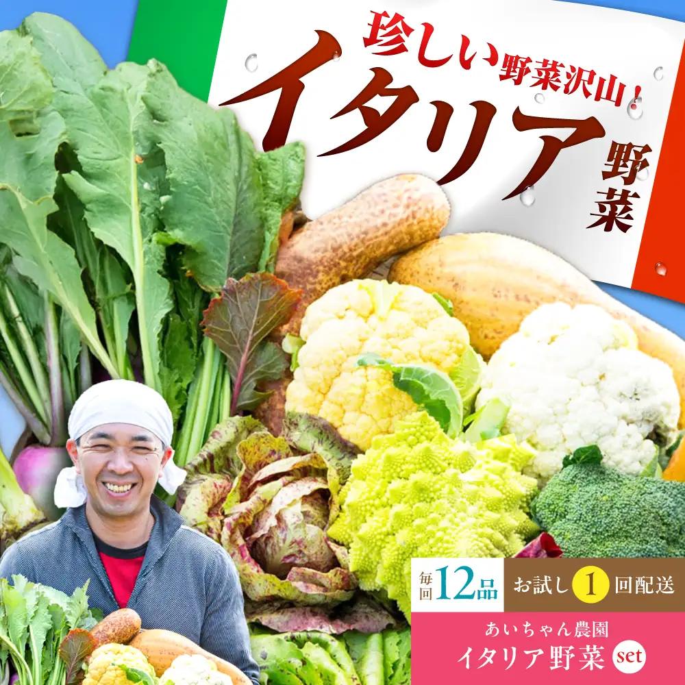 【12品】あいちゃん農園の「イタリア野菜」セット（ラージ）野菜 やさい[FAA021]