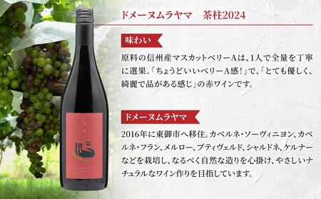 長野ワイン（赤白ワイン） 飲み比べ 2本セット｜【カーブハタノ】鞍掛シャルドネ、【ドメーヌムラヤマ】茶柱｜長野 東御