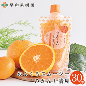 【早和果樹園】おふくろスムージーみかんと清見30本入り 飲むみかんゼリー(パウチタイプのジュレ)(B1094-1)