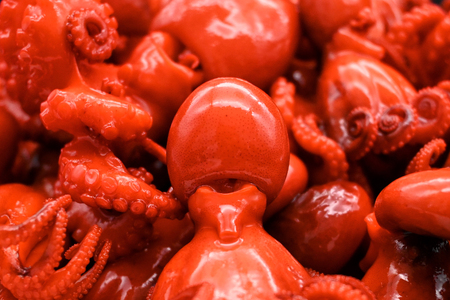 味付けチビたこ からし風味 800ｇ やまさん商店 たこ 蛸 ピリ辛 ちびだこ つまみ 珍味 3箱_BV003