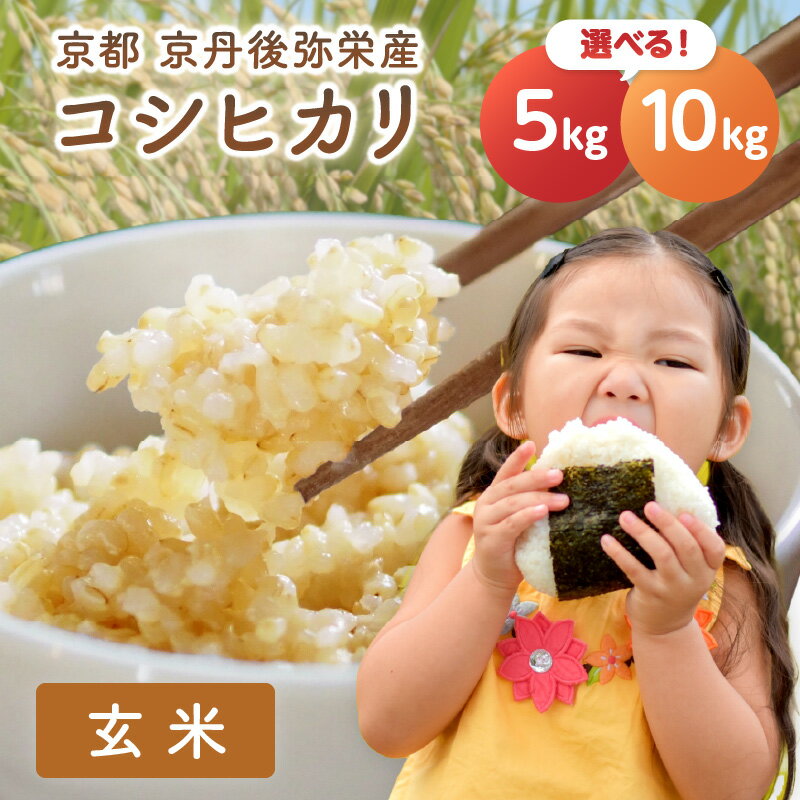 【ふるさと納税】残りわずか／【先行予約】こだわり玄米／丹後弥栄産コシヒカリ(玄米) 5kg 10kg 選べる 内容量 コシヒカリ 玄米 おこめ おにぎり 京都産 お米 ふるさと納税 こしひかり 5キロ 10キロ 5kg 10kg