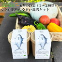 【ふるさと納税】B15-010食彩GARDEN三浦やさい栽培キット＆旬野菜