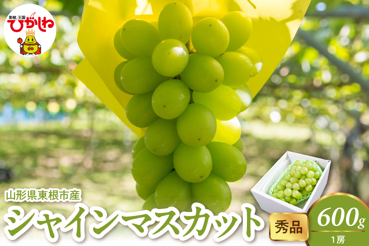 
            2025年産 シャインマスカット 600g(1房） 秀品 山形県 東根市　hi082-023-1
          