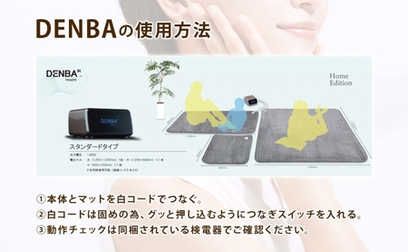 DENBA Health Standard マット 2枚同時に接続 同時に2名使用 マット 敷くだけ 睡眠時 スリープテック 睡眠 快眠 電場 家庭用 機器 電子機器 水分子ケア ケア 鮮度保持技術 
