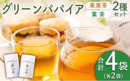 グリーンパパイアティー 2種 セット (果実茶＆葉茶) ティーバッグ 計4袋 宮崎県産