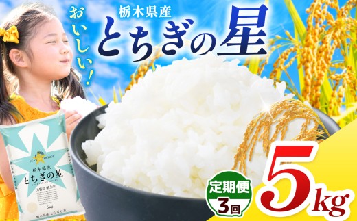 【栃木県共通返礼品】【令和7年度産】 訳あり 栃木県産とちぎの星 15kg |定期便 選べる ふるさと 納税 とちぎの星 お米 精米 白米 玄米 大粒 共通返礼品 送料無料 那珂川町 栃木県