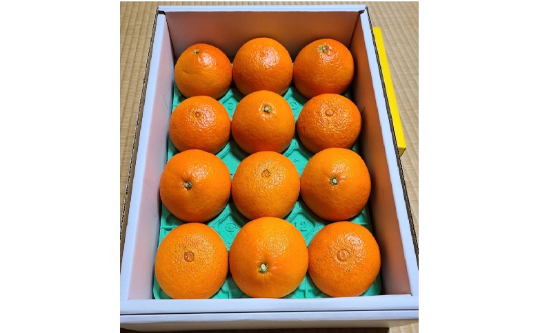 みかん 愛果28号 贈答用 L～2L 12～15玉 【2025年12月から順次発送】 先行予約 数量限定 柑橘 人気 伊予侍ファーム 愛媛 伊予市｜C138