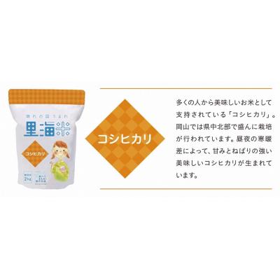 ふるさと納税 笠岡市 【瀬戸内海保護】里海米食べ比べ3本セット　無洗米　A-154e |  | 01