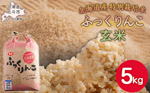 
                  【先行予約】【令和8年産米】ふっくりんこ5kg（玄米） 【 ふるさと納税 人気 おすすめ ランキング お米 米 こめ コメ 玄米   ご飯 おにぎり 飯 ごはん ふっくりんこ 5kg 北海道産 北海道 北斗市 送料無料 】 HOKY005
                