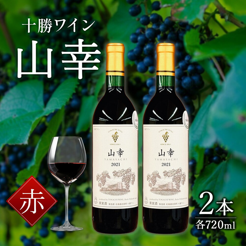 【ふるさと納税】山幸 2本 北海道 ワイン 世界が認めたO.I.V品種登録 送料無料 十勝ワイン 赤ワイン