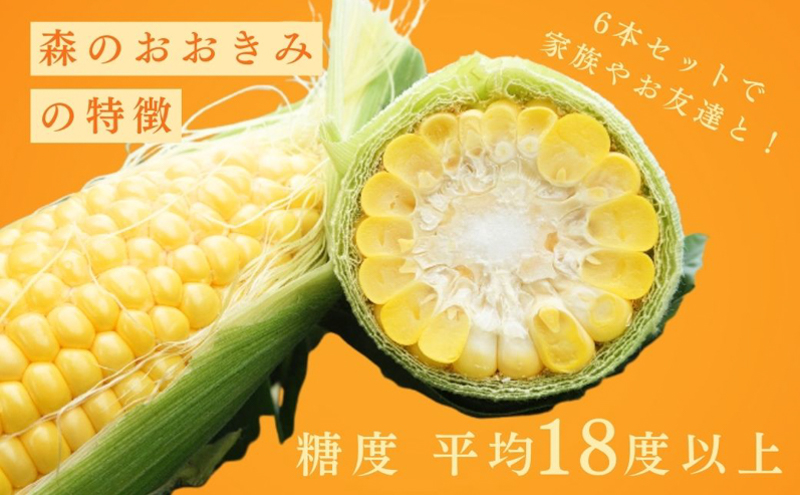 【実がぎっしり大きい！新鮮！朝どれとうもろこし】森のおおきみ6本