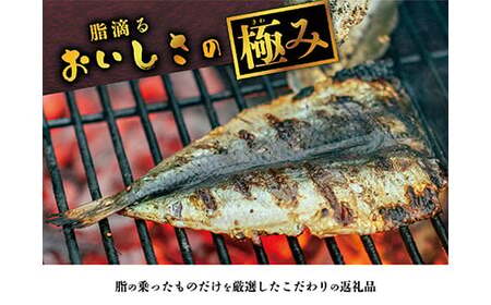 干物【海産屋】脂滴る極み干物セット
