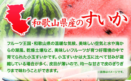 和歌山県産 小玉すいか ひとりじめ7(セブン) 2玉入り 3.5kg以上《2024年6月下旬-8月中旬頃出荷》 和歌山県 日高川町 スイカ 西瓜 すいか