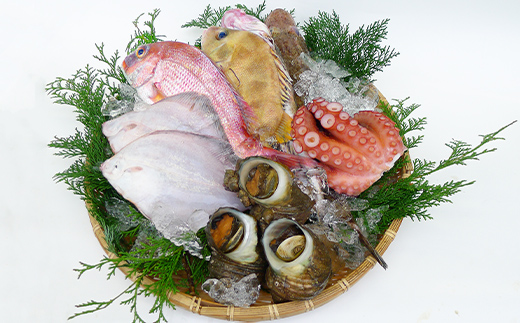 
                  ［頒布会6回］瀬戸内海産の海産物の詰め合わせ（下処理ナシ） FAH-0126
                