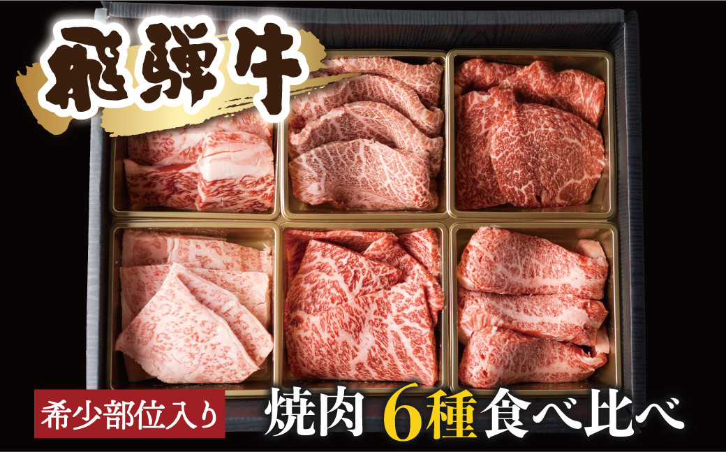 
                  ＜8月から寄附額改定＞飛騨牛 焼肉 6種食べ比べ 希少部位 各100g（計600g） 牛肉 焼肉用 肉 部位おまかせ 赤身 霜降り 和牛 やきにく 国産 焼肉セット 小分け ヤキニク ギフト 贈り物 飛騨市
                