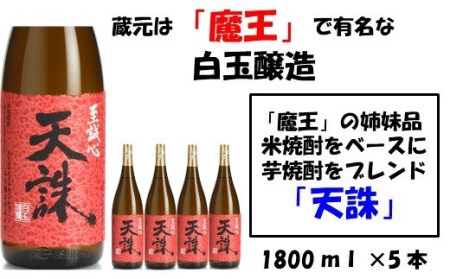 No.4020-1 【魔王の姉妹品】白玉醸造の「天誅」5本セット