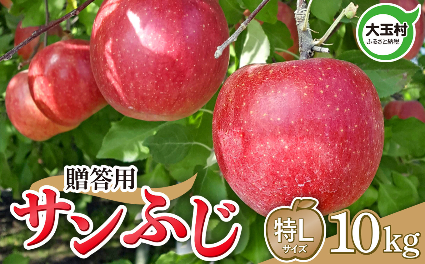 りんご  10kg 令和6年産 先行予約 贈答 サンふじ 特L