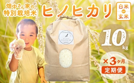 【3ヶ月定期便】特別栽培米（減農薬米） ｢ひのひかり｣ 白米 玄米 可 10kg 奈良県 三宅町 ヒノヒカリ おいしい 冷めても もちもち 安心：白米