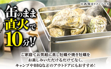 テレビで話題！ (瞬間冷凍) カンカン焼き 江田島牡蠣 15個入り 人気 海鮮 BBQ 簡単 レシピ ギフト 広島県産 江田島市/有限会社寺本水産[XAE010]